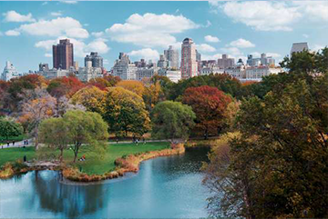 New York Klein
